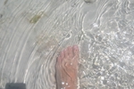 sunny hollidays