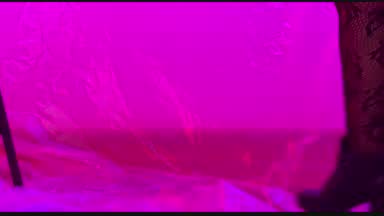Neon Reverie