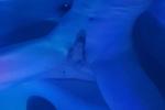 Hot Tub Pics ;p