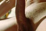 my cock