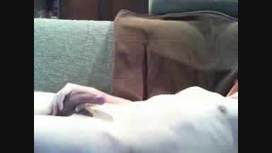 sideview cumshot....