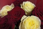 your courtney — Flowers and Me