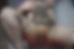 ✖︎ Goddess pumped full of cum ✖︎