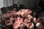 buy me flowers