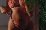 new lingerie