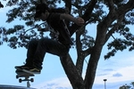 sk8
