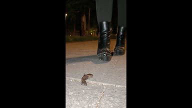 Crushing slug