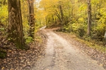 My Smoky Mountains