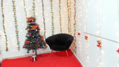Merry Christmas Guys