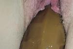 Enjoy!!!