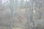 my deer stand