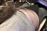 Big Cock