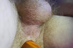 Fuzzy ball Sack With Bubble wand Deep inside