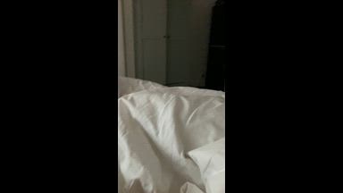 MORNING GLORY
