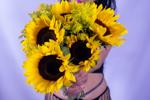 🌻 Your favorite temptation 🌻