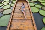 Lotus park