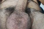 hard cock