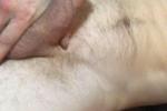 Freakfun no limit webcam