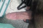 my horny BBC