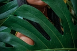 EBONÍA SENSUAL