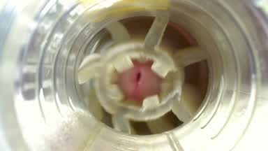 Cumpilation