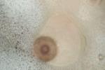 Tits time