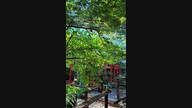 butterfly garden