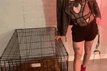 Ally