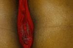 twinhustle live Chaturbate webcam gallery thumbnail