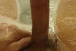 dick collection