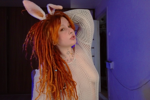 Your cute rabbit