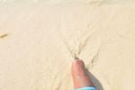 HOLIDAYS