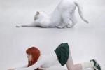 camilla — me like a kitty