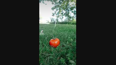 Crushing your ball