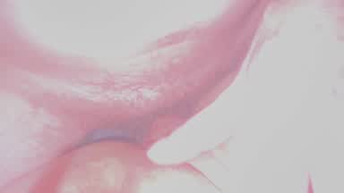 Raw sex