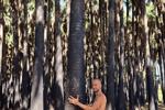 naked in a palm forest