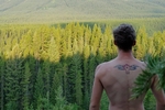 Forest Freedom !