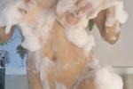 In the bathtub