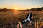 lissa telor โ Thereโs wind in the field, and peace in my mindโ