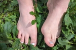 Painted toes
