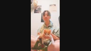 KITTEN DAMN KITTEN O M G YES