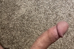 Cock