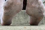 Dirty Sock Photo Bundle