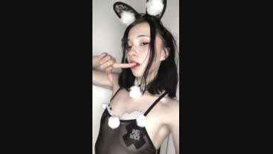 swetty rabbit