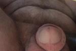 Cock and Balls