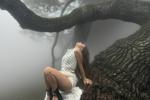DREAMCORE