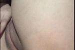 Pussy