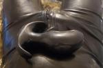 Large anal plug toy