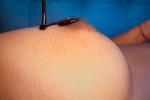 Taste my sweet body