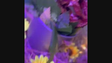 🍻🌻